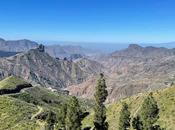 CANARY ISLANDS NATURE TOUR, Part Guest Post Susan Kean