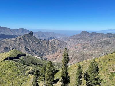 CANARY ISLANDS NATURE TOUR, Part 1: Guest Post by Susan Kean