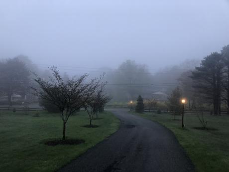 Blue Cliff Monastery