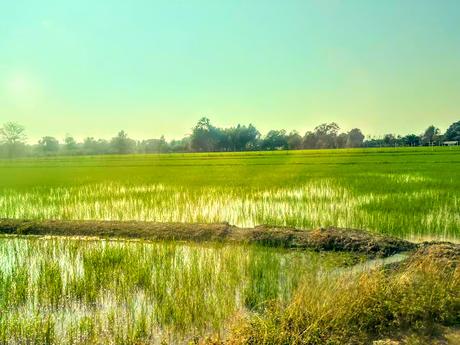 On The Road... Chiang Rai, Thailand: My Golden Triangle Tour: Part 2! On The Road... Chiang Rai, Thailand: My Golden Triangle Tour: Part 2!