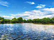 Beside Sea... Zamboanga Sur, Philippines!