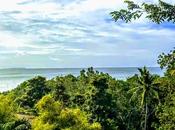 Bohol: Vistas, Tarsiers Chocolate Hills...