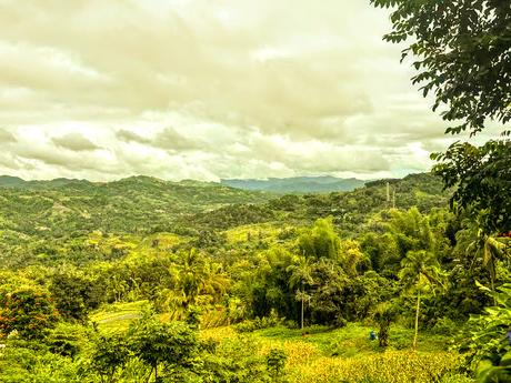 On The Road... Cebu, Philippines: My Highlands & City Tour... Part 1! On The Road... Cebu, Philippines: My Highlands & City Tour... Part 1!