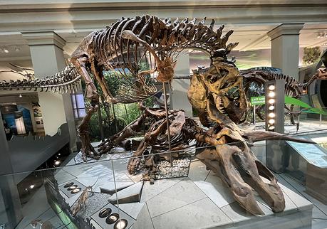 Oorah! The 3rd Marine Corps 50K 🦅🌎⚓️🇺🇸