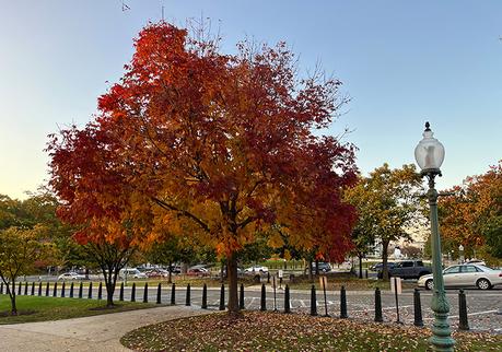 Oorah! The 3rd Marine Corps 50K 🦅🌎⚓️🇺🇸