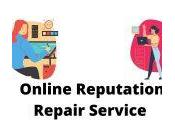 Best Facebook Review Removal Companies Brand Image Protection