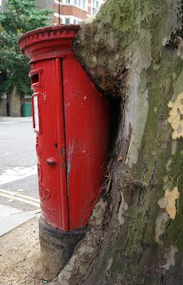 Side view of the postbox and tree.