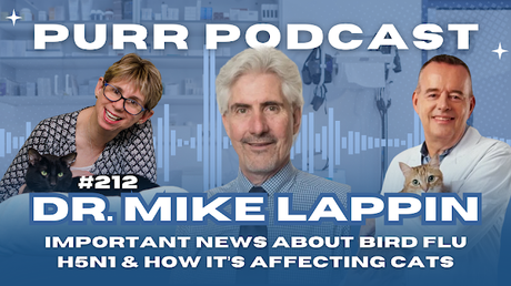 CAT OWERS MUST WATCH Purr Podcast: Bird flu in cats with Dr. Mike Lappin Bird flu in cats Purr Podcast Dr. Mike Lappin