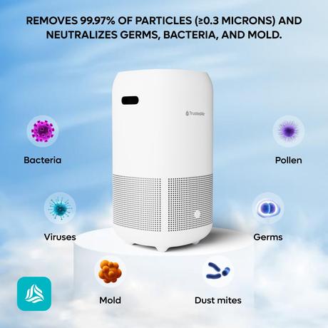 Do Air Purifiers Remove Carbon Monoxide (CO)? System Removes