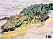 Human Head Found Kattankudy Lagoon