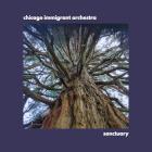Chicago Immigrant Orchestra: Sanctuary