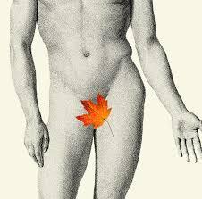 The Supreme Court’s 2025 Dred Scott Decision