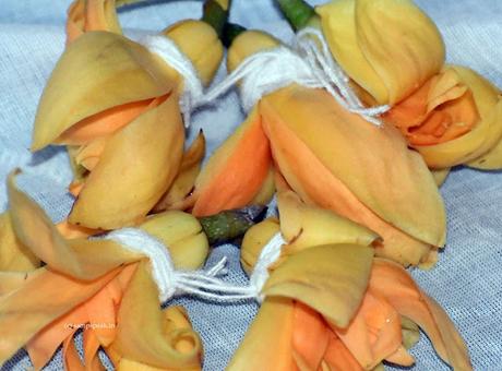 Cyclone Montha !!! ~ காடெல்லாம் பிச்சிப் பூவூ Cyclone Montha !!! ~ காடெல்லாம் பிச்சிப் பூவூ