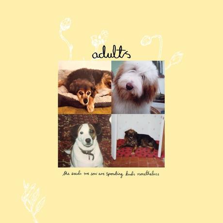 Adults – ‘The Seeds We Sow Are Sprouting Buds Nonetheless’ album review