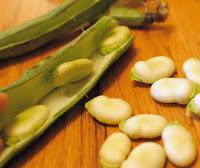 Fabulous Favas of Fall