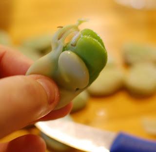 Fabulous Favas of Fall