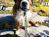 CALL ACTION: Stop Doug Ford's Attack Renters Ontario Bill