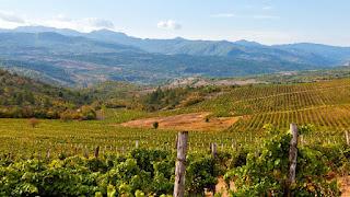 An Evening at the Embassy of the Republic of North Macedonia An Evening at the Embassy of the Republic of North Macedonia