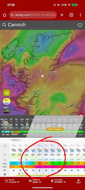 The Cool Bloggers Walking Club: October 2025