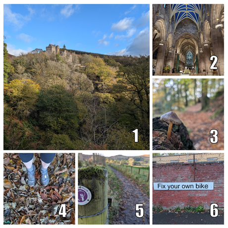 The Cool Bloggers Walking Club: October 2025