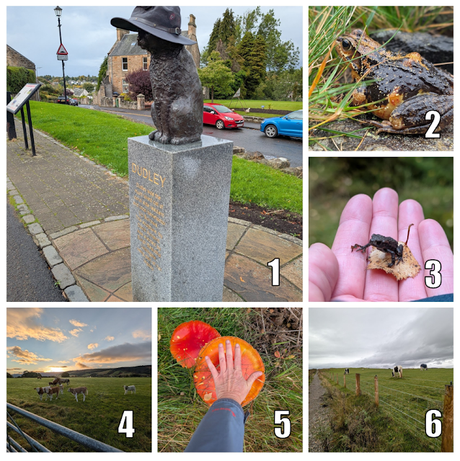 The Cool Bloggers Walking Club: October 2025