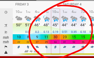 The Cool Bloggers Walking Club: October 2025