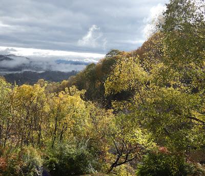 Living in Middle Earth