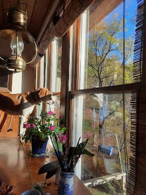 Living in Middle Earth