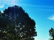 Showers Likely Provinces; Mainly Fair Weather Elsewhere