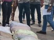 Massive Mid-sea Drug Haul: Billion Narcotics Found Fishing Trawler