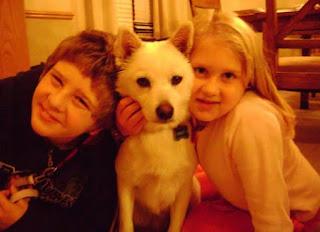 Our Family Dog Crossed the Rainbow Bridge This Spring