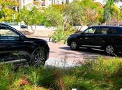 Israel Where Every City Thrives Lush Greenery, Celebrated Worldwide! (video)