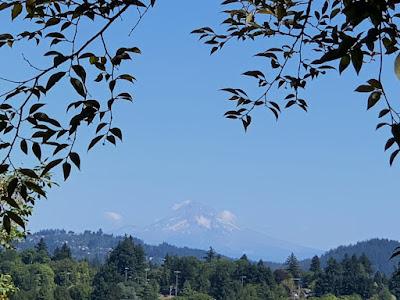 A TUESDAY IN PORTLAND, OREGON - THE OHSU FARMERS MARKET AND ELK ROCK GARDEN Guest Post by Caroline Hatton