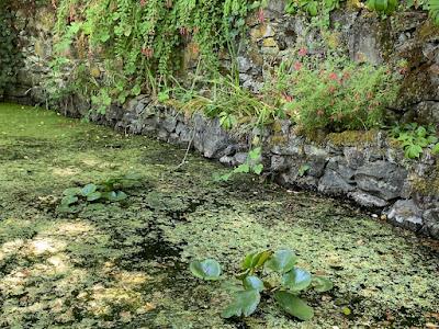 A TUESDAY IN PORTLAND, OREGON - THE OHSU FARMERS MARKET AND ELK ROCK GARDEN Guest Post by Caroline Hatton