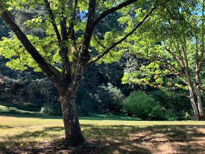 A TUESDAY IN PORTLAND, OREGON - THE OHSU FARMERS MARKET AND ELK ROCK GARDEN Guest Post by Caroline Hatton