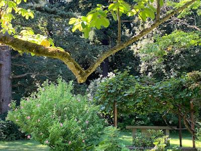 A TUESDAY IN PORTLAND, OREGON - THE OHSU FARMERS MARKET AND ELK ROCK GARDEN Guest Post by Caroline Hatton