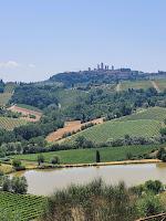 The Essence of the Olive: Introducing Our Olive Oil Series