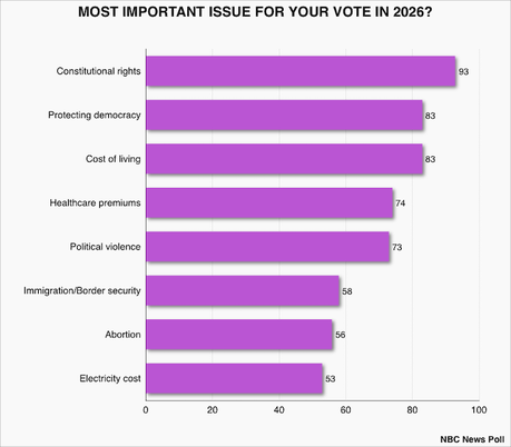 Voters Would Prefer A Democratically-Controlled Congress After 2026 Elections