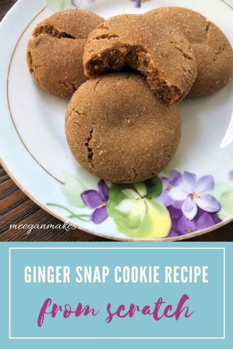 Ginger Snap Cookie Recipe From Scratch