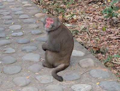 What I Learned, Looking Forward, Looking Back: January 2026