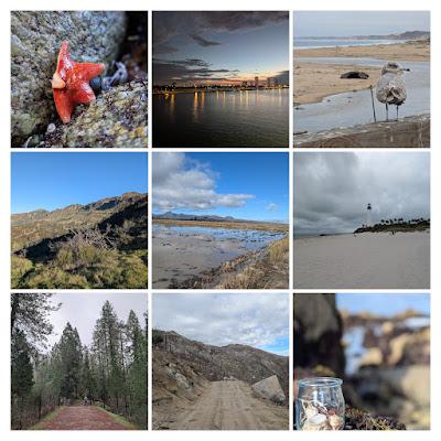 2025: A Year in 12 Chapters