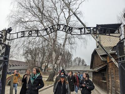 Twenty Questions (E13): 2025 What I Learned