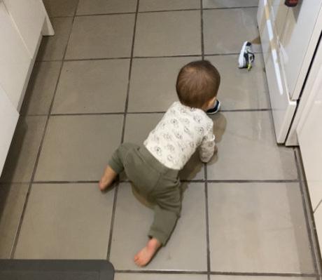 Crawling with Style: Understanding Asymmetrical Crawling and Its Implications One leg out crawling