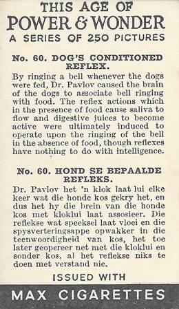 It Isn’t Just About Bubble Gum It Isn’t Just About Bubble Gum