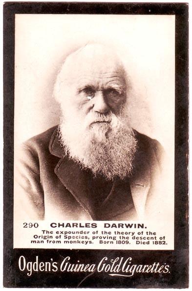 It Isn’t Just About Bubble Gum It Isn’t Just About Bubble Gum