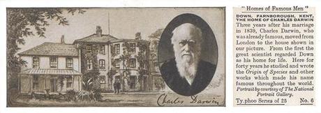 It Isn’t Just About Bubble Gum It Isn’t Just About Bubble Gum