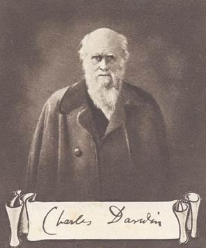 It Isn’t Just About Bubble Gum It Isn’t Just About Bubble Gum