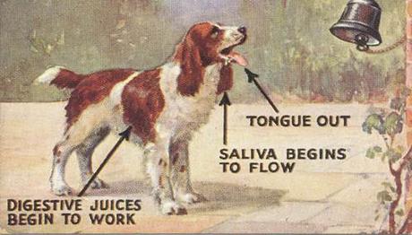 It Isn’t Just About Bubble Gum It Isn’t Just About Bubble Gum