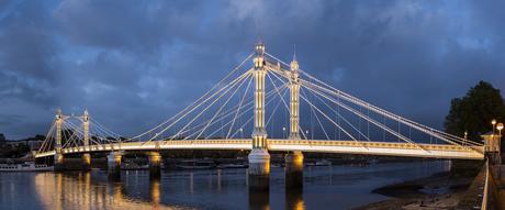 Photograph of Albert Bridge at night. The suspension bridge appears finely detailed, its supporting pillars made up of multiple slender pillars and its cables lit by lines of white light.