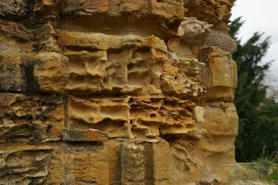 Weathered and worn: Battle Abbey's stones Photo of an external wall; the reddish-golden stone has holes and dips eroded into it, almost seeming to form a carved pattern.